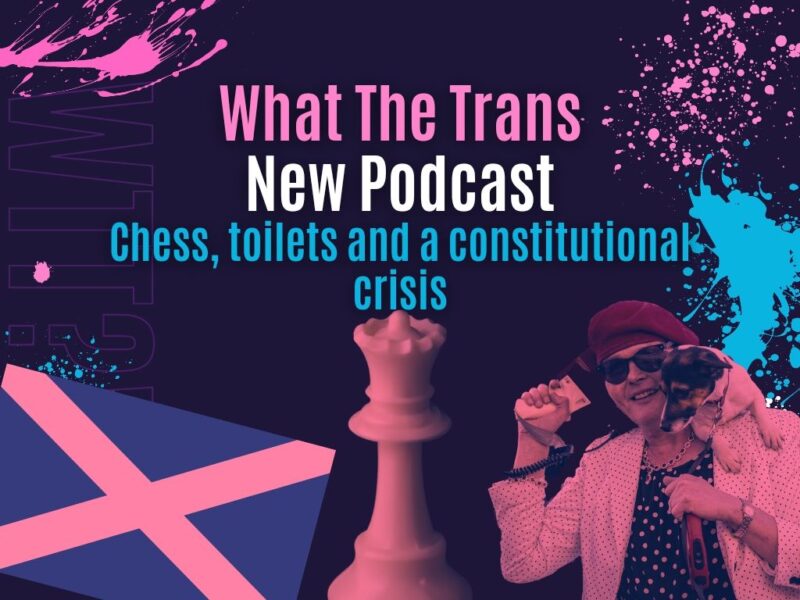 PODCAST – Chess, Toilets and a Constitutional Crisis