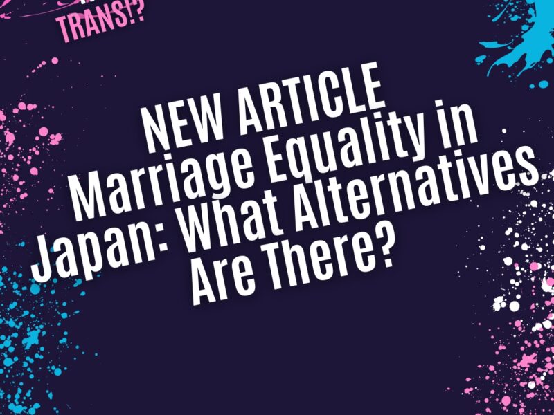 Marriage Equality in Japan: What Alternatives Are There?
