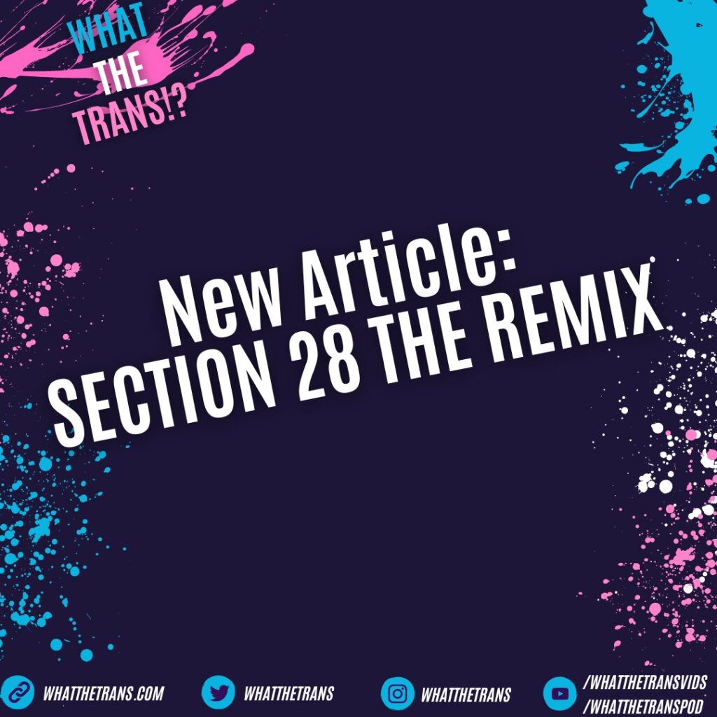 SECTION 28 THE REMIX