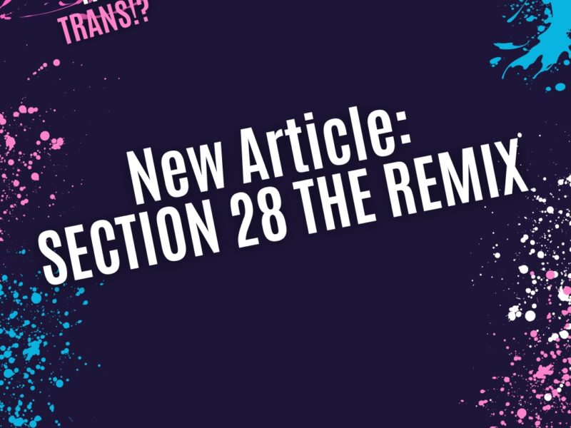 SECTION 28 THE REMIX