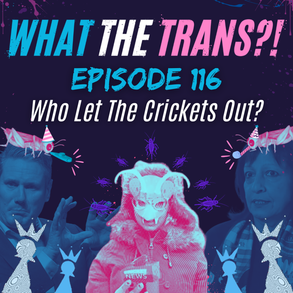 PODCAST [TRANSCRIBED] – Who Let the Crickets Out?