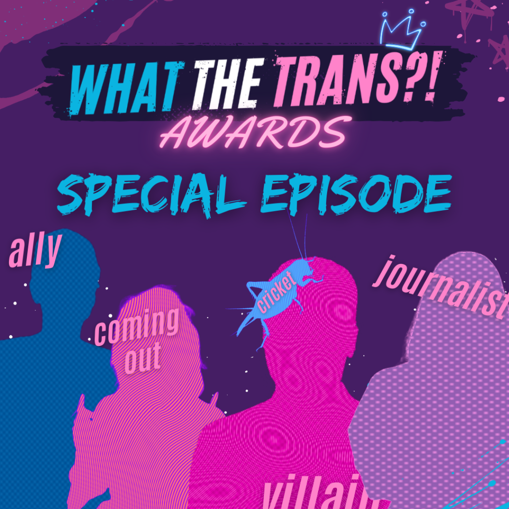 PODCAST [TRANSCRIBED] – The What the Trans?! Awards 2024!