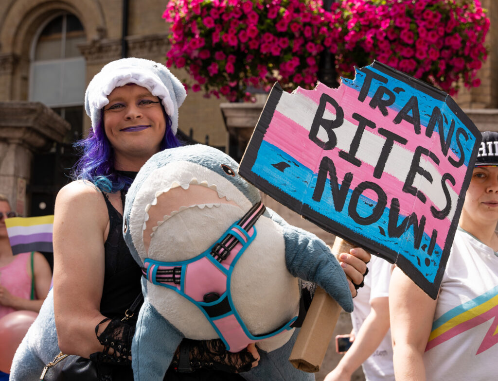 Compilation of Protests and Actions Against the Supreme Court