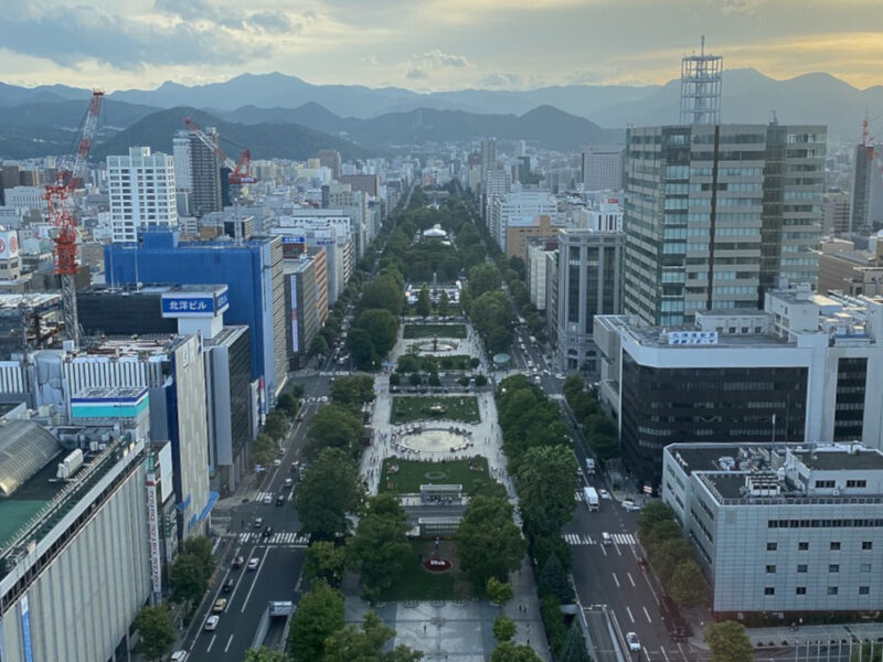Japanese Family Court Finds Remaining Surgical Requirement Unconstitutional