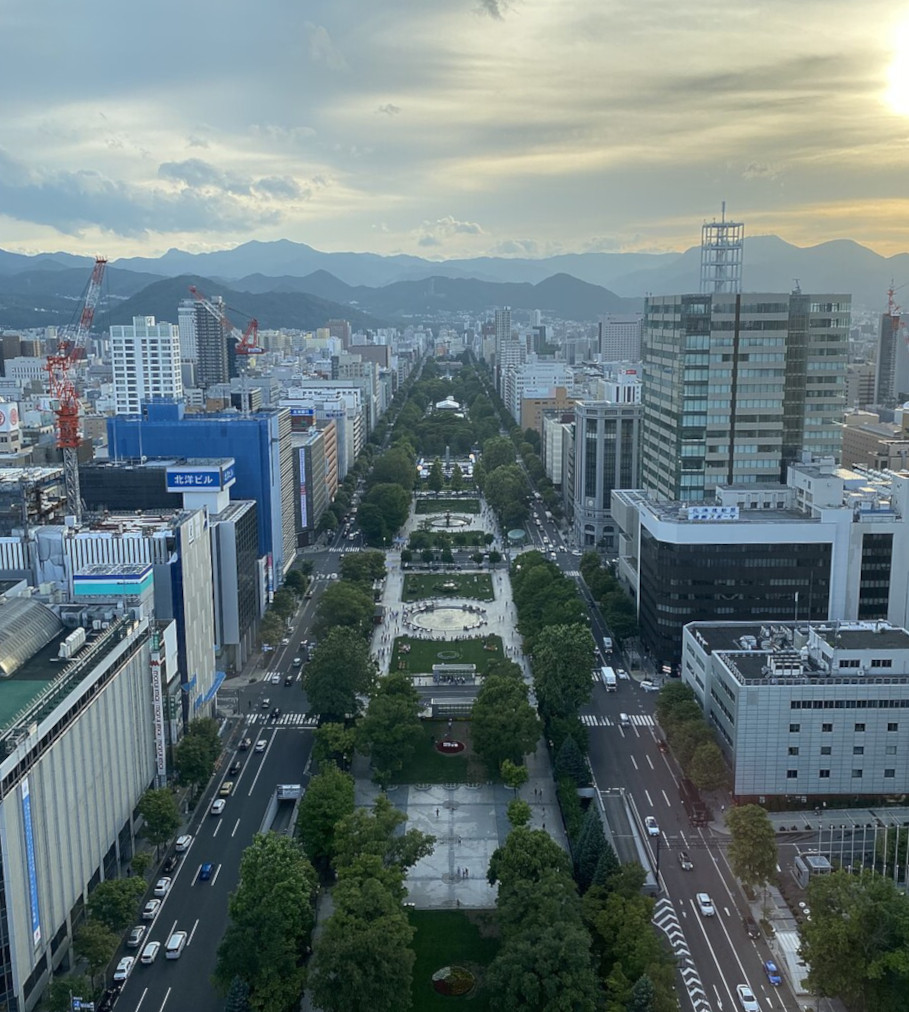 Elevated view of Sapporo, Japan