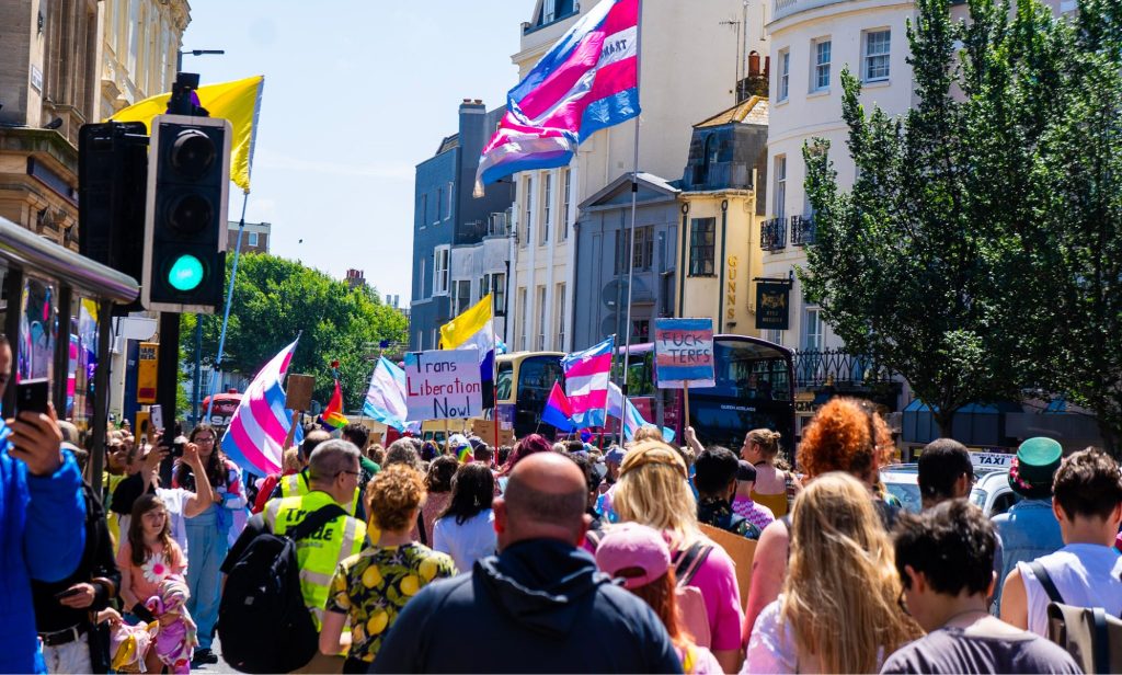 A crowd of people holding trans rights flags and protest signs during a demonstration in London.