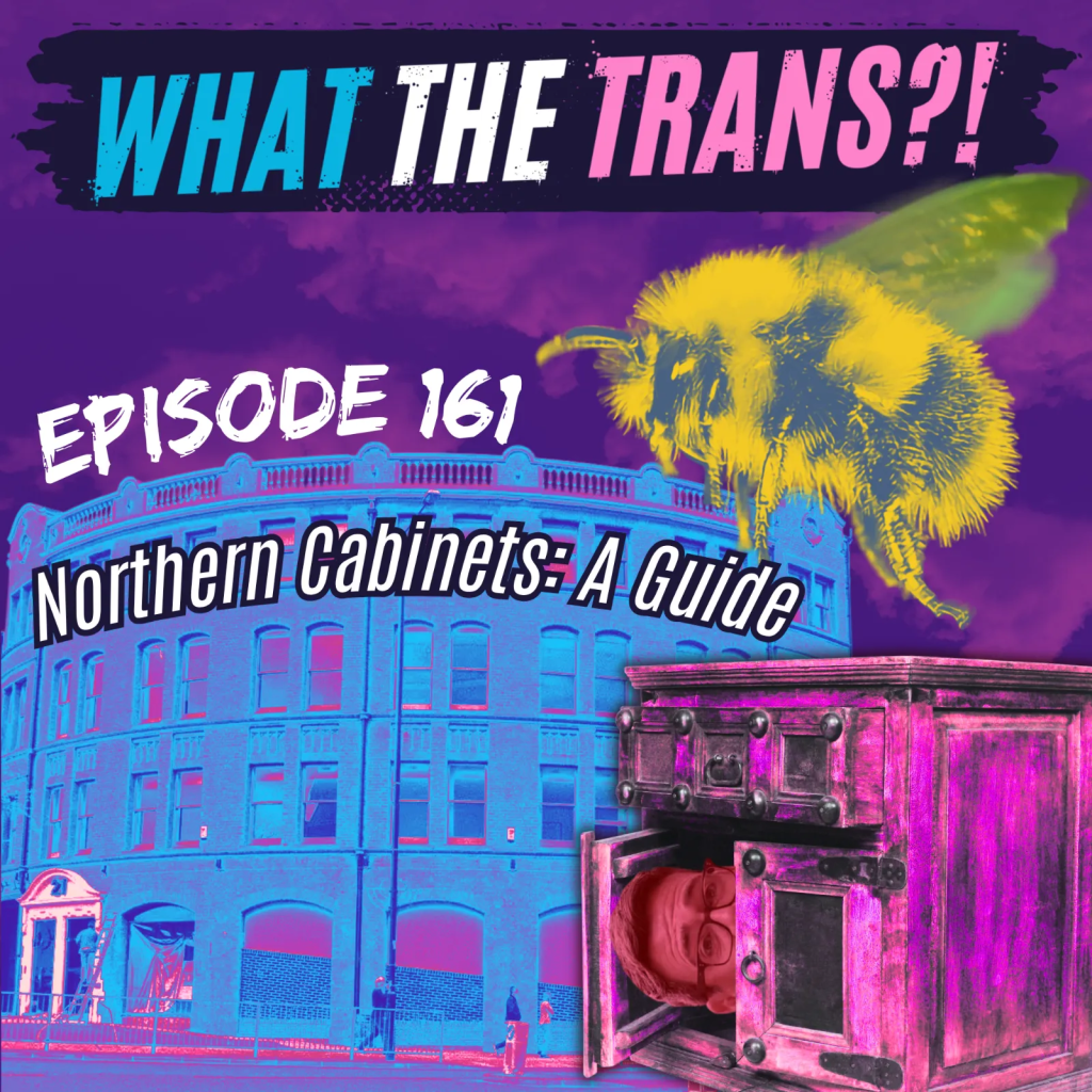 PODCAST – Northern Cabinets: A Guide